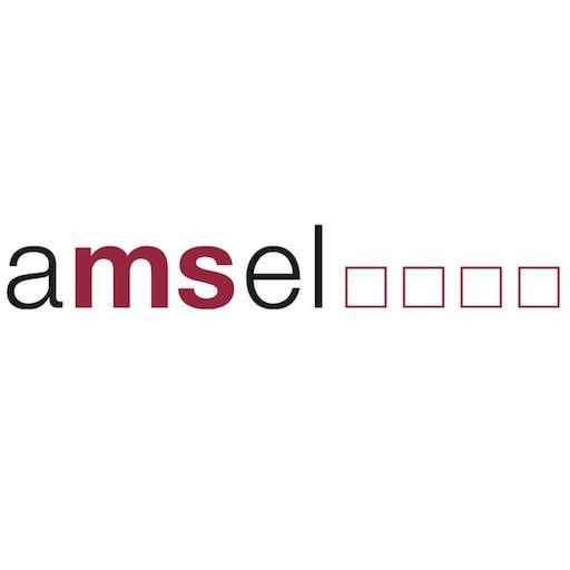 AMSEL e.V.